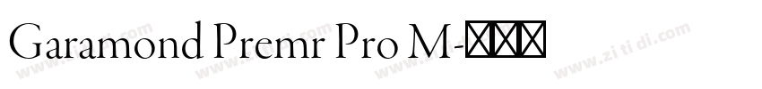 Garamond Premr Pro M字体转换